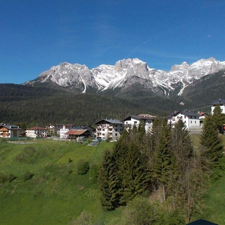 Balcone Sulle Dolomiti Apartment Comelico Superiore Luaran gambar