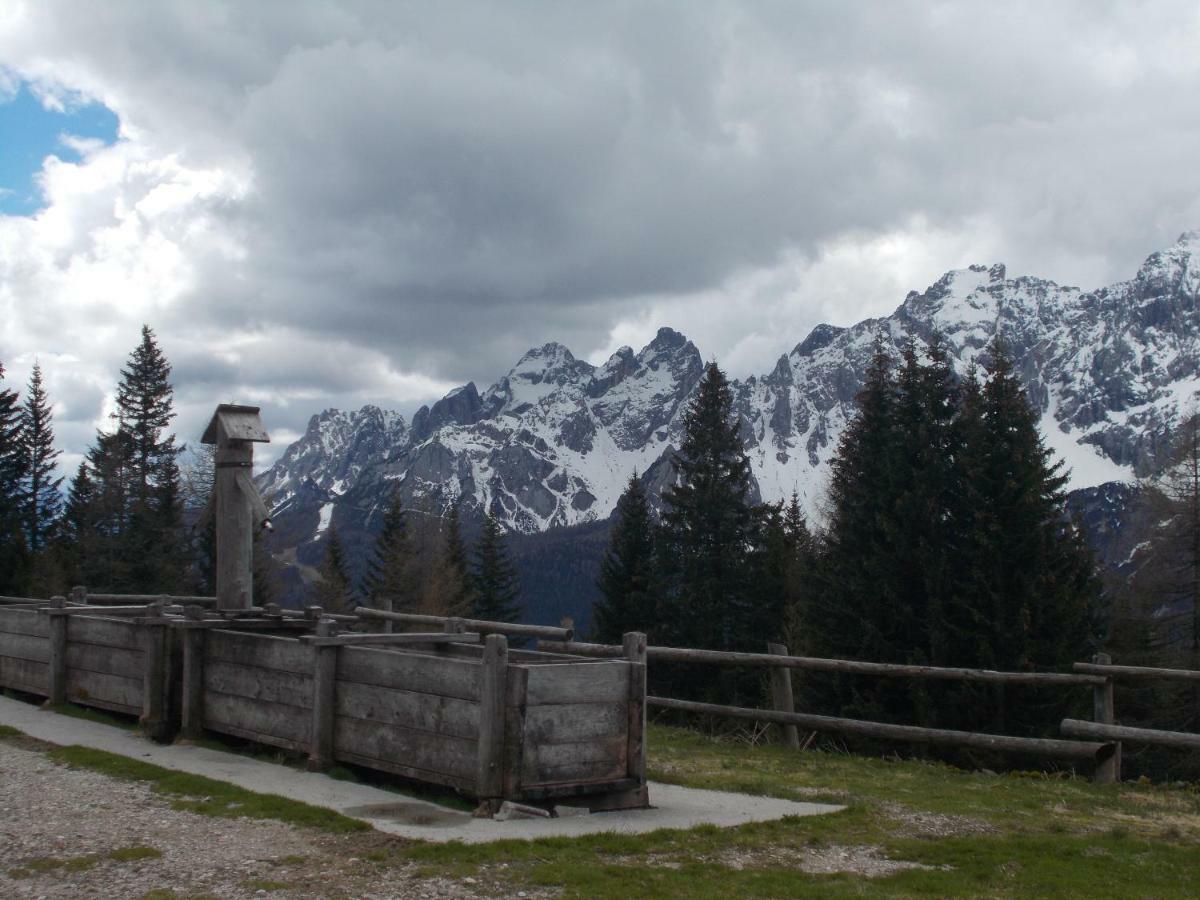 Balcone Sulle Dolomiti Apartment Comelico Superiore Luaran gambar