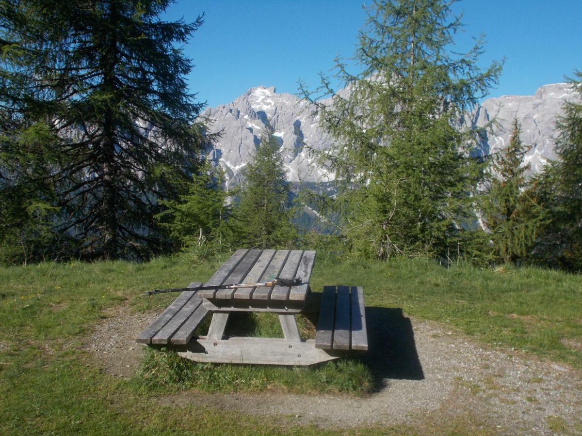 Balcone Sulle Dolomiti Apartment Comelico Superiore Luaran gambar